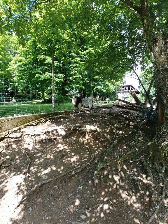 Guest House Sterk Nova Gorica Dış mekan fotoğraf